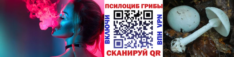 mega зеркало  сколько стоит  Демидов  Псилоцибиновые грибы прущие грибы 